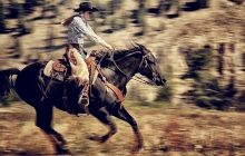 Horse rider while panning