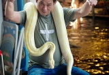 26 Snake Man at the floating market, Thailand DSC_8906