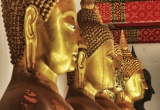 9 Profile of Golden Budha Heads DSC_8580