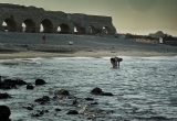 34 The Cesarea beach DSC_9576